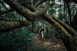 BIB: 
                            <button type="button" onclick="openModal(25664795)" class="btn btn-primary btn-sm float-right btn-popup" data-toggle="modal" data-target=".modal-high-quality">
                        <i class="fas fa-shopping-cart"></i> Add to Cart
                    </button>
                                            <button type="button" onclick="isThisMe(25664795, true)" class="btn btn-success btn-sm float-right btn-popup btn-isme hidden" data-toggle="tooltip" data-placement="bottom" title="นี่คือรูปของคุณใช่ไหม คลิกที่นี่เพื่อเอาเข้าอัลบั้ม">
                        <i class="fas fa-plus"></i> Add to album
                    </button>
                    <button type="button" onclick="isThisMe(25664795, false)" class="btn btn-warning btn-sm float-right btn-popup btn-isnotme hidden">
                        <i class="fas fa-ban"></i> Remove from album
                    </button>